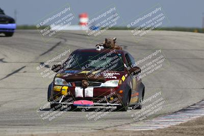 media/Sep-28-2025-24 Hours of Lemons (Sun) [[5dfe0e5f6e]]/12pm (Outside Grapevine)/